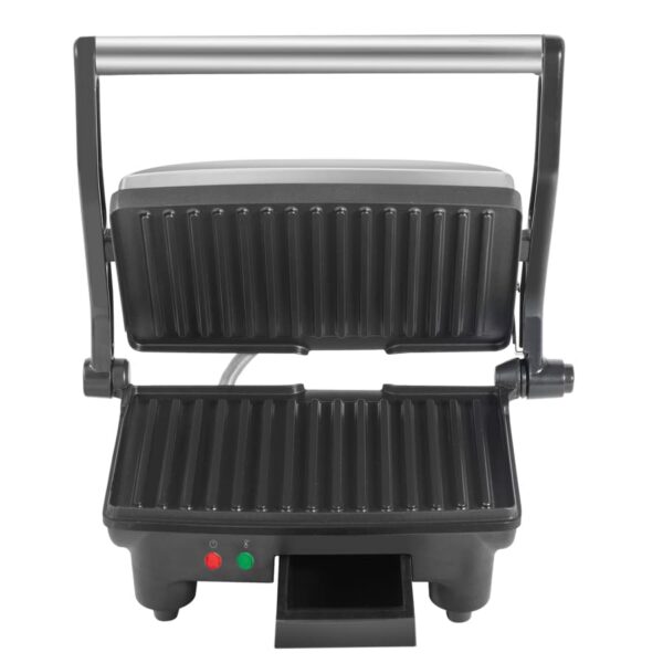 Panini - Imagen 2