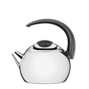 Tetera de Acero Inoxidable Mango Negro 18 cm 2,2 L