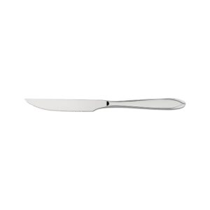 Cuchillo para asado Laguna de acero inoxidable 12 Piezas