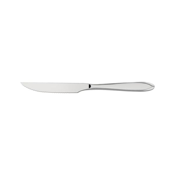 Cuchillo para asado Laguna de acero inoxidable 12 Piezas