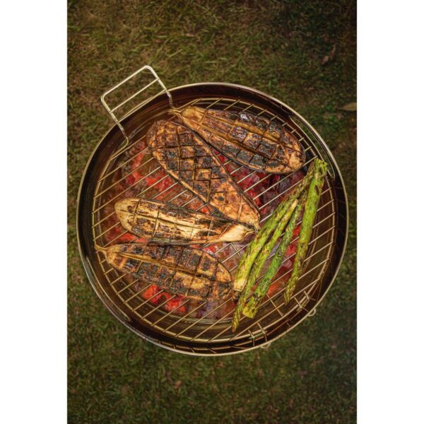 Parrilla a carbón TCP 400 de acero inoxidable con bandeja para carbón de acero esmaltado - Imagen 6