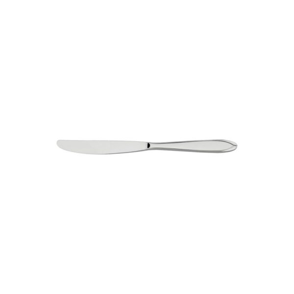 Cuchillo para Postre Laguna de Acero Inoxidable 12 Piezas