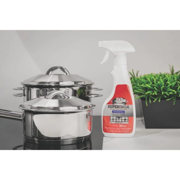 Spray para Pulir y Remover Manchas Tramontina sobre Acero Inoxidable 300 ml - Imagen 2